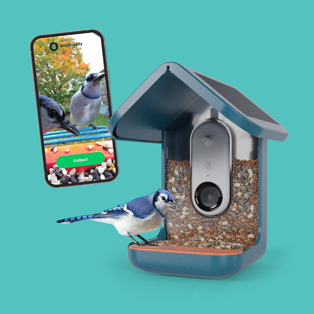 Birdbuddy スマートバードフィーダー Birdbuddyスマートソーラープロ